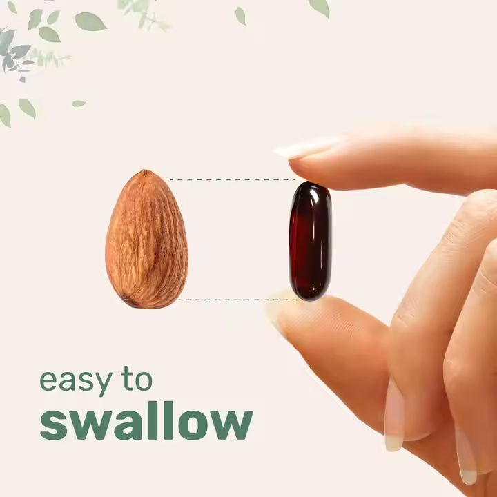 Verdyn Pumpkin Seed Oil Softgels